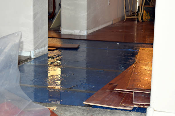 Professional Sewage Cleanup technician working in Kaiser, MO